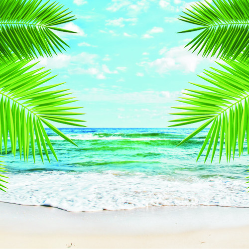32 2000x2680
